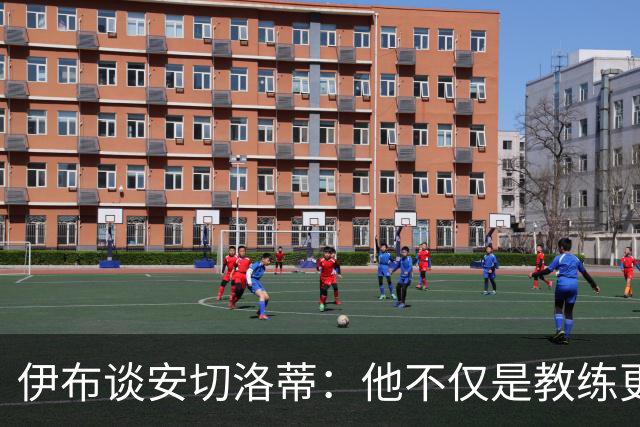伊布谈安切洛蒂：他不仅是教练更是管理者 执教巴西对他是挑战